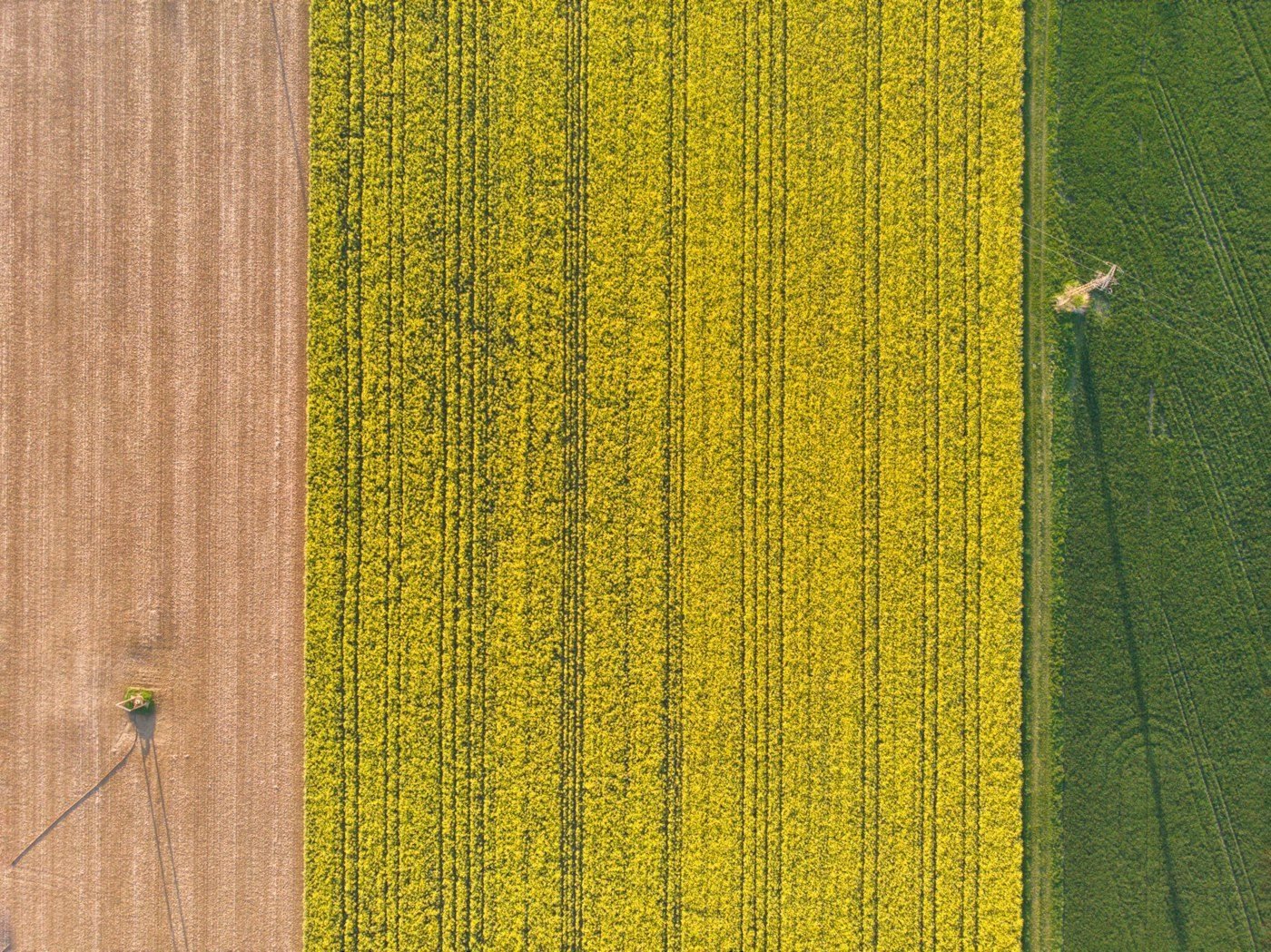Aerial view of corn rows in the Cerrado