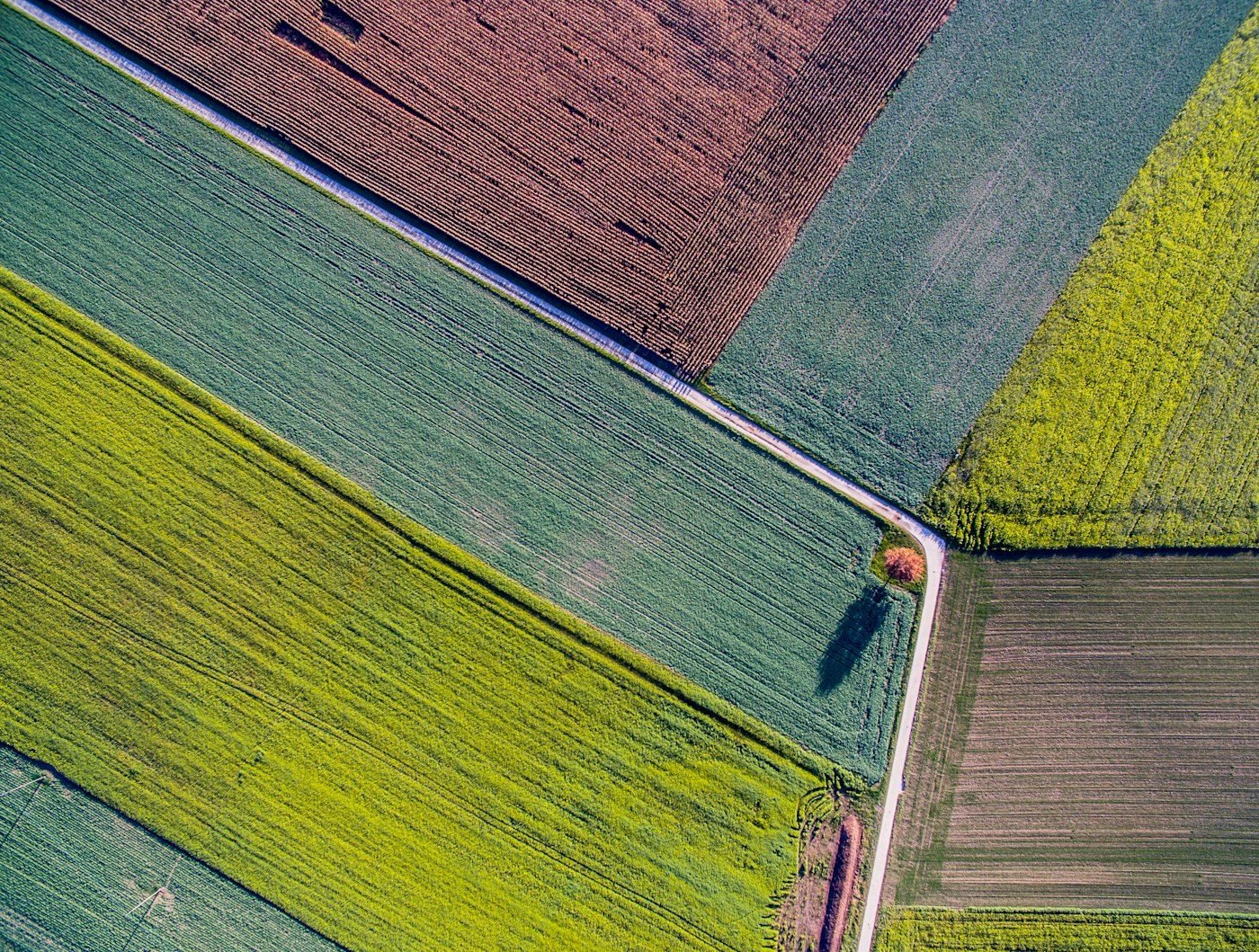 Aerial view of grain fields in Mato Grosso