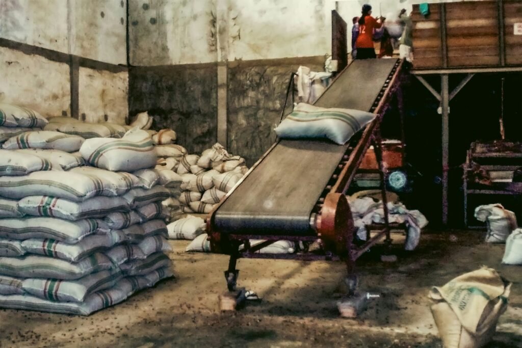 Conveyor belt in a warehouse filled with bagged commodities – packaging and preparation for export