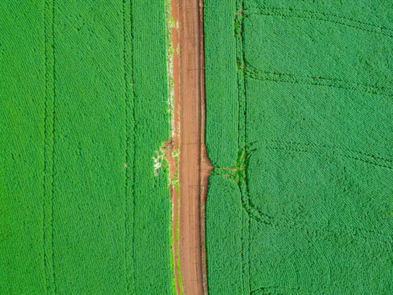 Aerial view of a Brazilian crop field