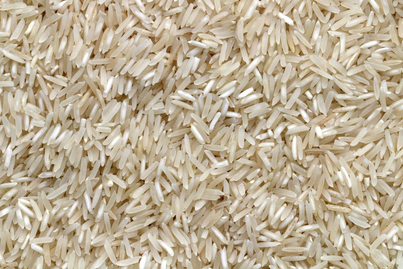 Brazilian rice grains