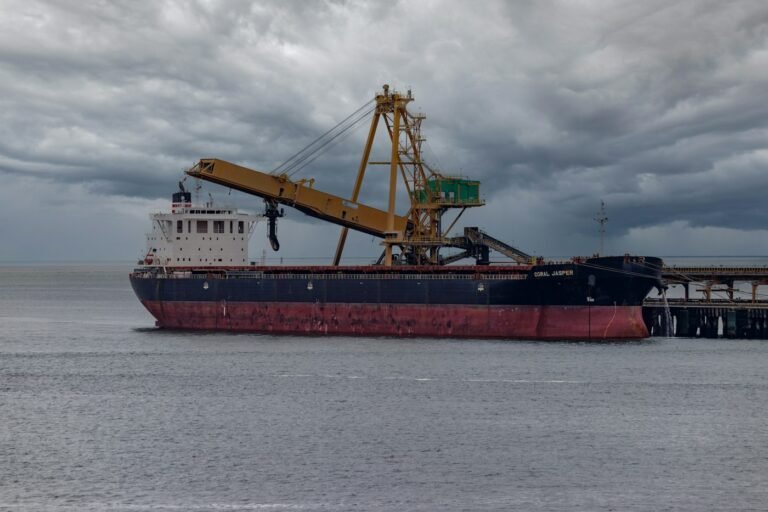 Bulk vessel being loaded with agricultural commodities at a Brazilian port