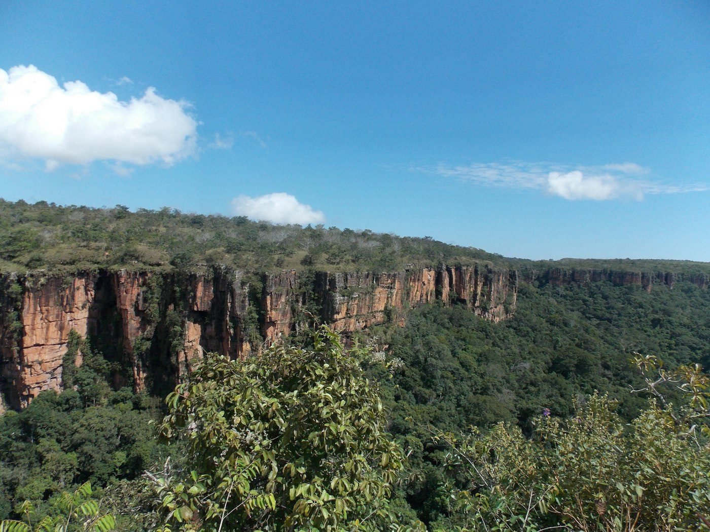 Sandstone cliffs in Brazil's Cerrado