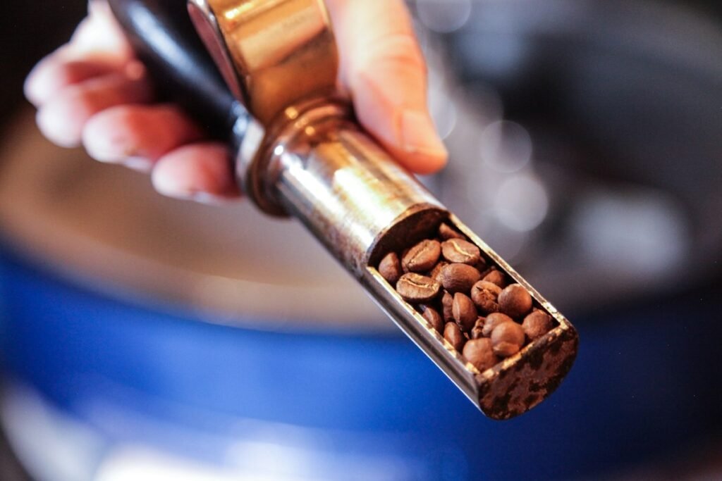 Roasted coffee beans in a roaster scoop – European roasters buying Brazilian green coffee