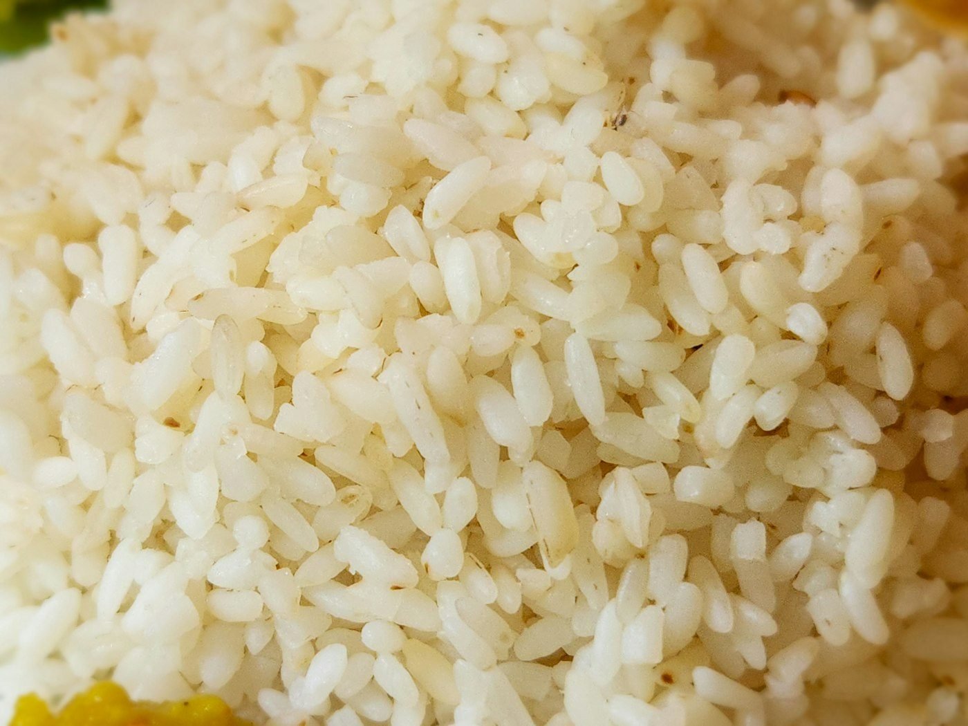 Cooked white rice