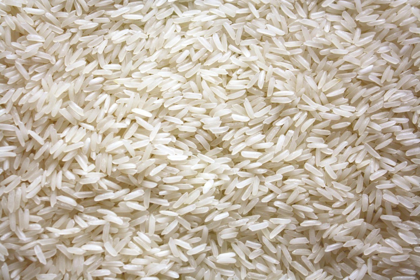 Long-grain milled white rice