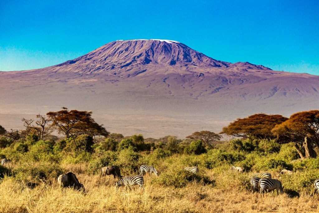 Mount Kilimanjaro with zebras grazing – East Africa market for Brazilian commodities
