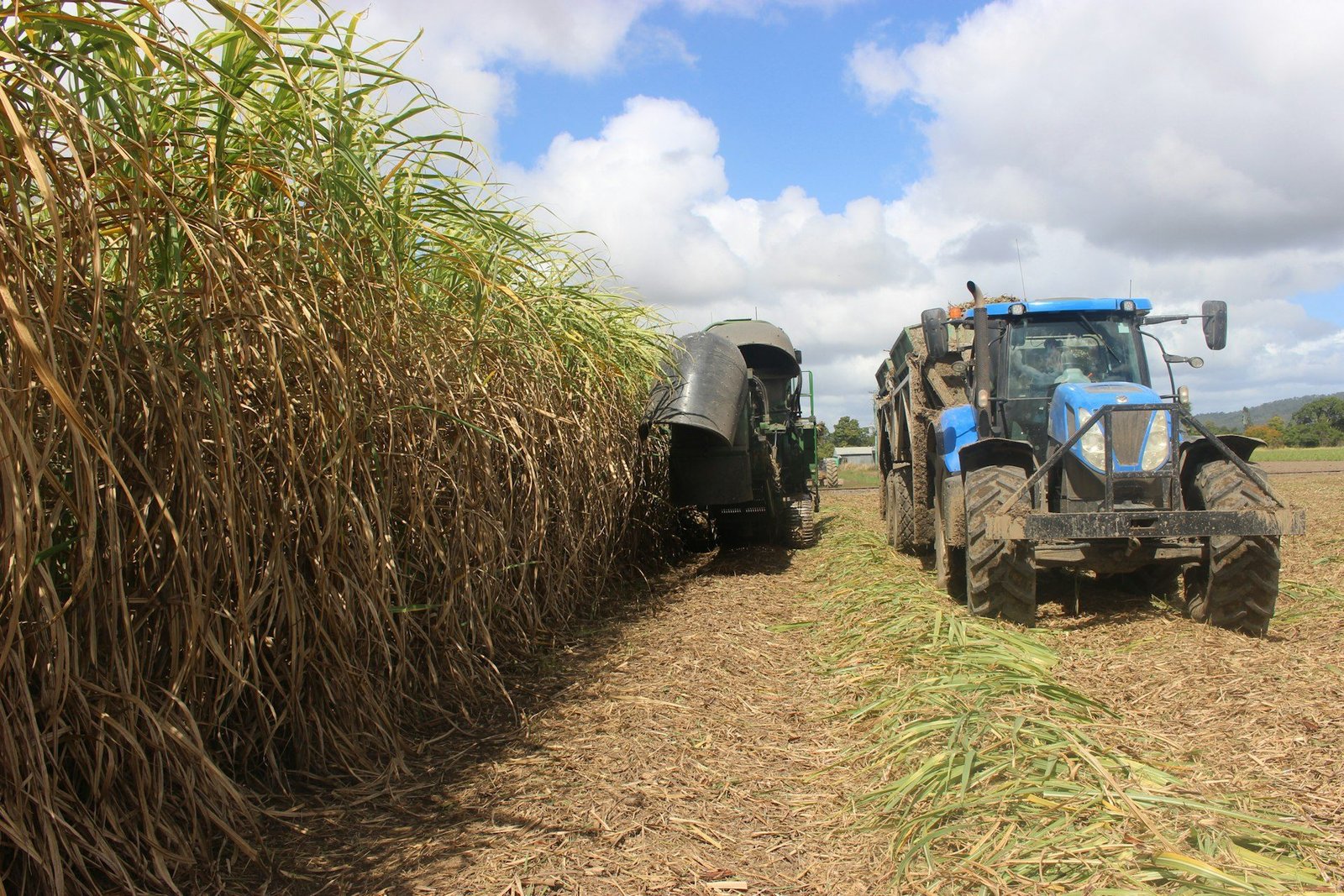 Sugarcane harvest and transport in a Brazilian cane field