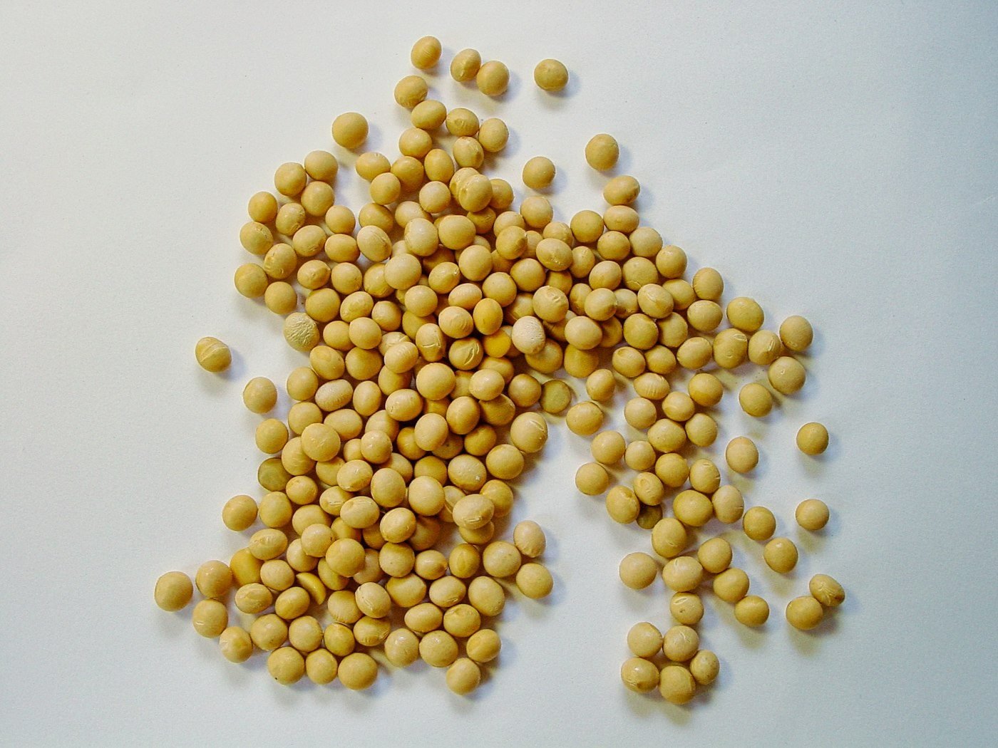 Yellow Brazilian soybeans